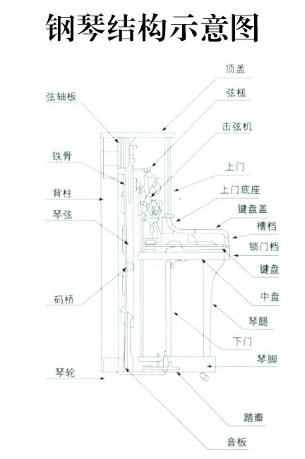 钢琴结构示意图